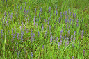 BUITEN BEELD Foto: 212586