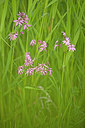 BUITEN BEELD Foto: 212595