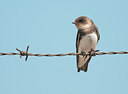 BUITEN BEELD Foto: 212719