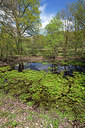 BUITEN BEELD Foto: 212801