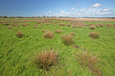 BUITEN BEELD Foto: 212828