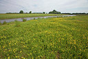 BUITEN BEELD Foto: 212837