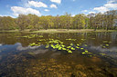 BUITEN BEELD Foto: 212848