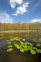 BUITEN BEELD Foto: 212851