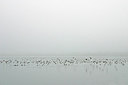 BUITEN BEELD Foto: 212866