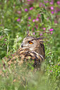 BUITEN BEELD Foto: 212988