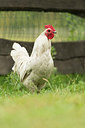 BUITEN BEELD Foto: 213081
