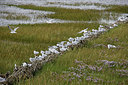 BUITEN BEELD Foto: 213108
