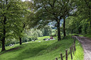BUITEN BEELD Foto: 213174