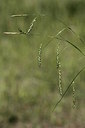 BUITEN BEELD Foto: 213198