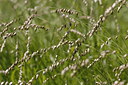 BUITEN BEELD Foto: 213201