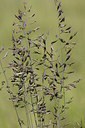 BUITEN BEELD Foto: 213207