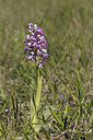 BUITEN BEELD Foto: 213212