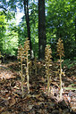 BUITEN BEELD Foto: 213214