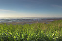BUITEN BEELD Foto: 213275