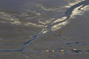 BUITEN BEELD Foto: 213284
