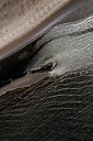 BUITEN BEELD Foto: 213292