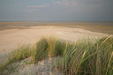 BUITEN BEELD Foto: 213373