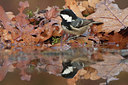 BUITEN BEELD Foto: 213386