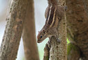 BUITEN BEELD Foto: 213557