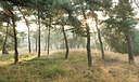 BUITEN BEELD Foto: 213580