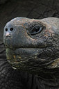 BUITEN BEELD Foto: 213596