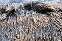 BUITEN BEELD Foto: 213617