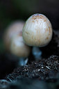 BUITEN BEELD Foto: 213654