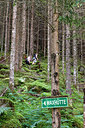 BUITEN BEELD Foto: 213794