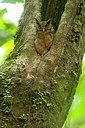 BUITEN BEELD Foto: 213850