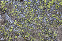 BUITEN BEELD Foto: 213996