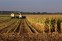BUITEN BEELD Foto: 214001