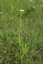 BUITEN BEELD Foto: 214064