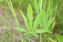 BUITEN BEELD Foto: 214075