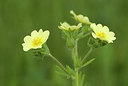 BUITEN BEELD Foto: 214076