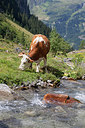 BUITEN BEELD Foto: 214089