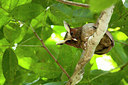 BUITEN BEELD Foto: 214122