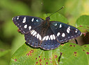 BUITEN BEELD Foto: 214155