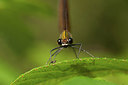 BUITEN BEELD Foto: 214170