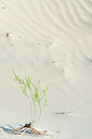 BUITEN BEELD Foto: 214210