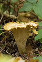 BUITEN BEELD Foto: 214238