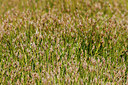 BUITEN BEELD Foto: 214267