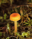 BUITEN BEELD Foto: 214374