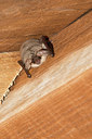 BUITEN BEELD Foto: 214381