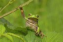 BUITEN BEELD Foto: 214428