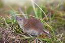 BUITEN BEELD Foto: 214482