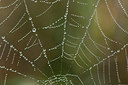 BUITEN BEELD Foto: 214503