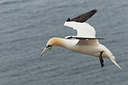 BUITEN BEELD Foto: 214522