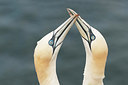 BUITEN BEELD Foto: 214525