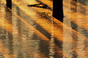 BUITEN BEELD Foto: 214562